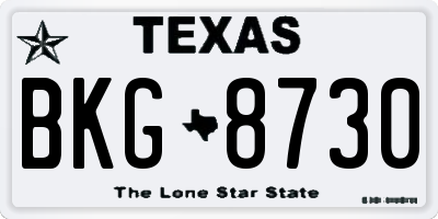 TX license plate BKG8730