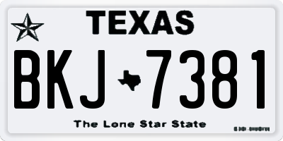 TX license plate BKJ7381