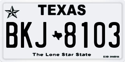 TX license plate BKJ8103