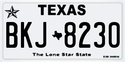 TX license plate BKJ8230