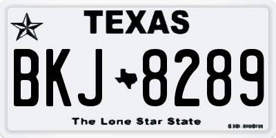 TX license plate BKJ8289