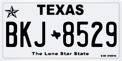 TX license plate BKJ8529