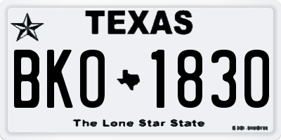 TX license plate BKO1830