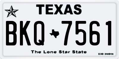 TX license plate BKQ7561