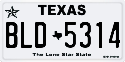 TX license plate BLD5314