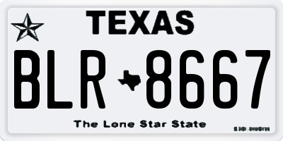 TX license plate BLR8667