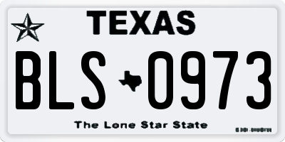 TX license plate BLS0973