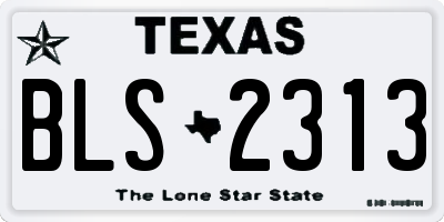TX license plate BLS2313