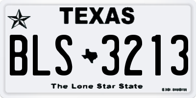 TX license plate BLS3213