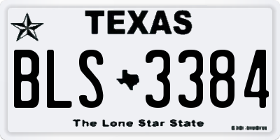TX license plate BLS3384