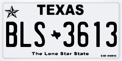 TX license plate BLS3613