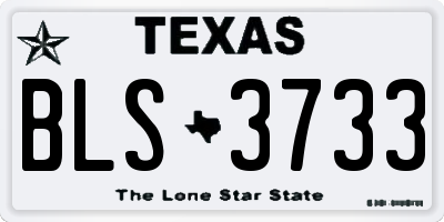 TX license plate BLS3733