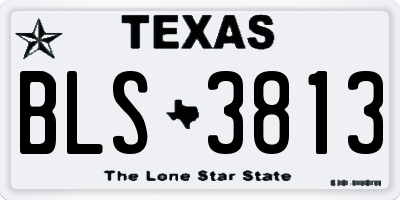 TX license plate BLS3813