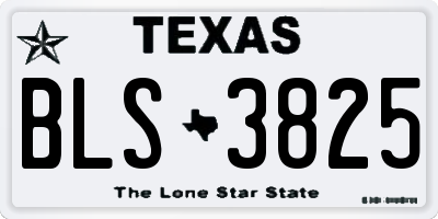 TX license plate BLS3825