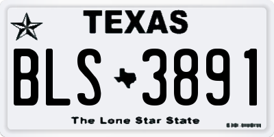 TX license plate BLS3891