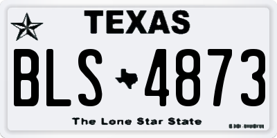 TX license plate BLS4873