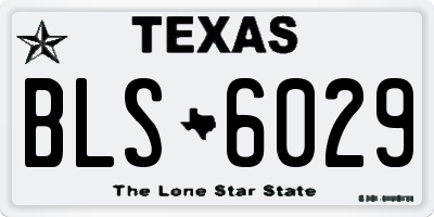 TX license plate BLS6029