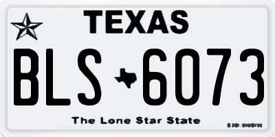 TX license plate BLS6073
