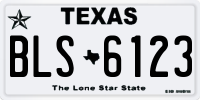 TX license plate BLS6123