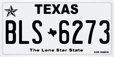 TX license plate BLS6273
