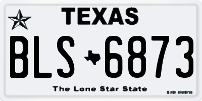 TX license plate BLS6873