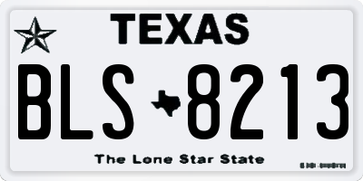 TX license plate BLS8213