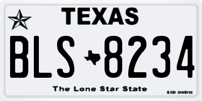 TX license plate BLS8234