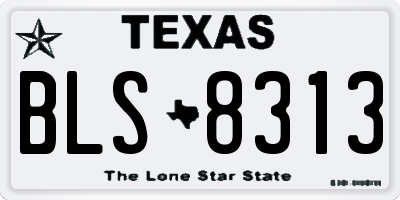 TX license plate BLS8313