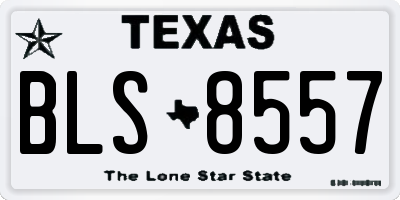 TX license plate BLS8557