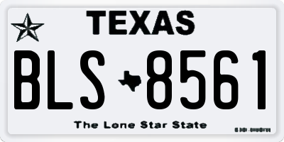 TX license plate BLS8561