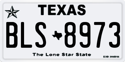 TX license plate BLS8973