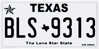 TX license plate BLS9313