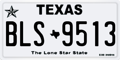 TX license plate BLS9513