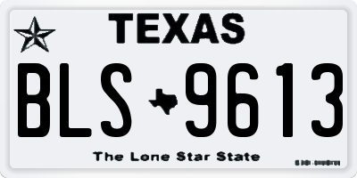 TX license plate BLS9613