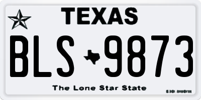 TX license plate BLS9873