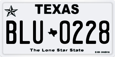 TX license plate BLU0228