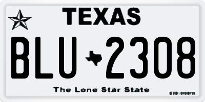 TX license plate BLU2308