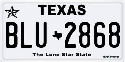 TX license plate BLU2868