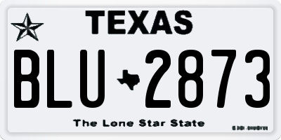 TX license plate BLU2873