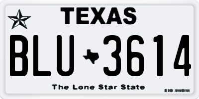 TX license plate BLU3614