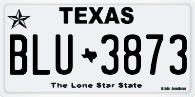 TX license plate BLU3873