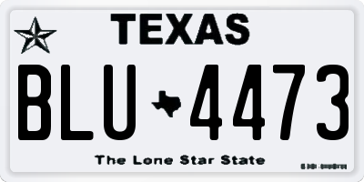 TX license plate BLU4473