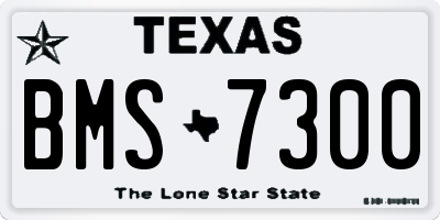 TX license plate BMS7300