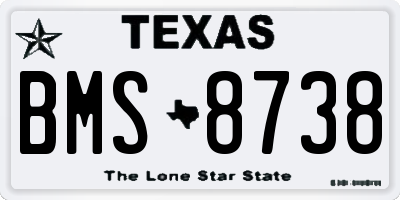 TX license plate BMS8738