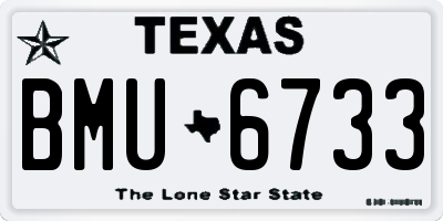 TX license plate BMU6733