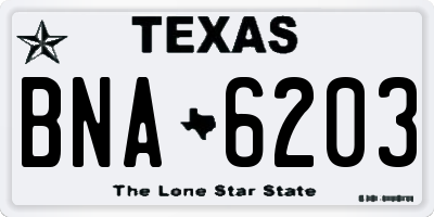 TX license plate BNA6203