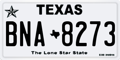 TX license plate BNA8273