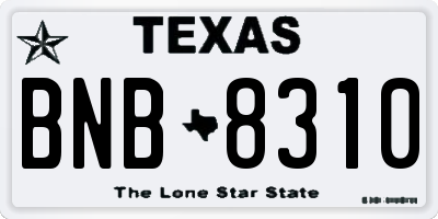 TX license plate BNB8310