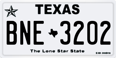 TX license plate BNE3202