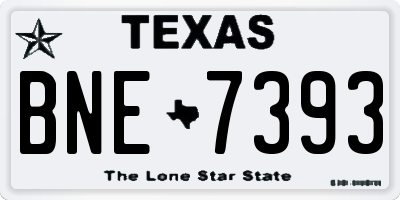 TX license plate BNE7393